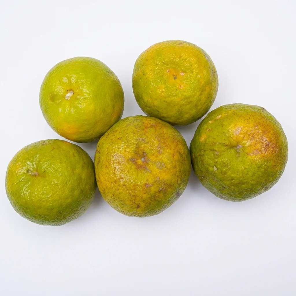 Naranja Agria