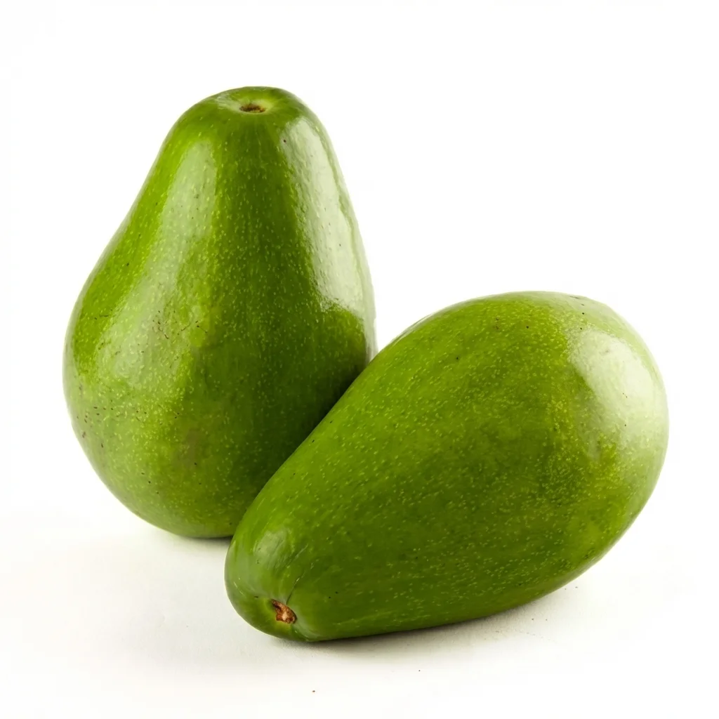 Aguacate Papelillo / Lorena