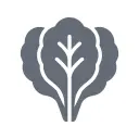 Verduras