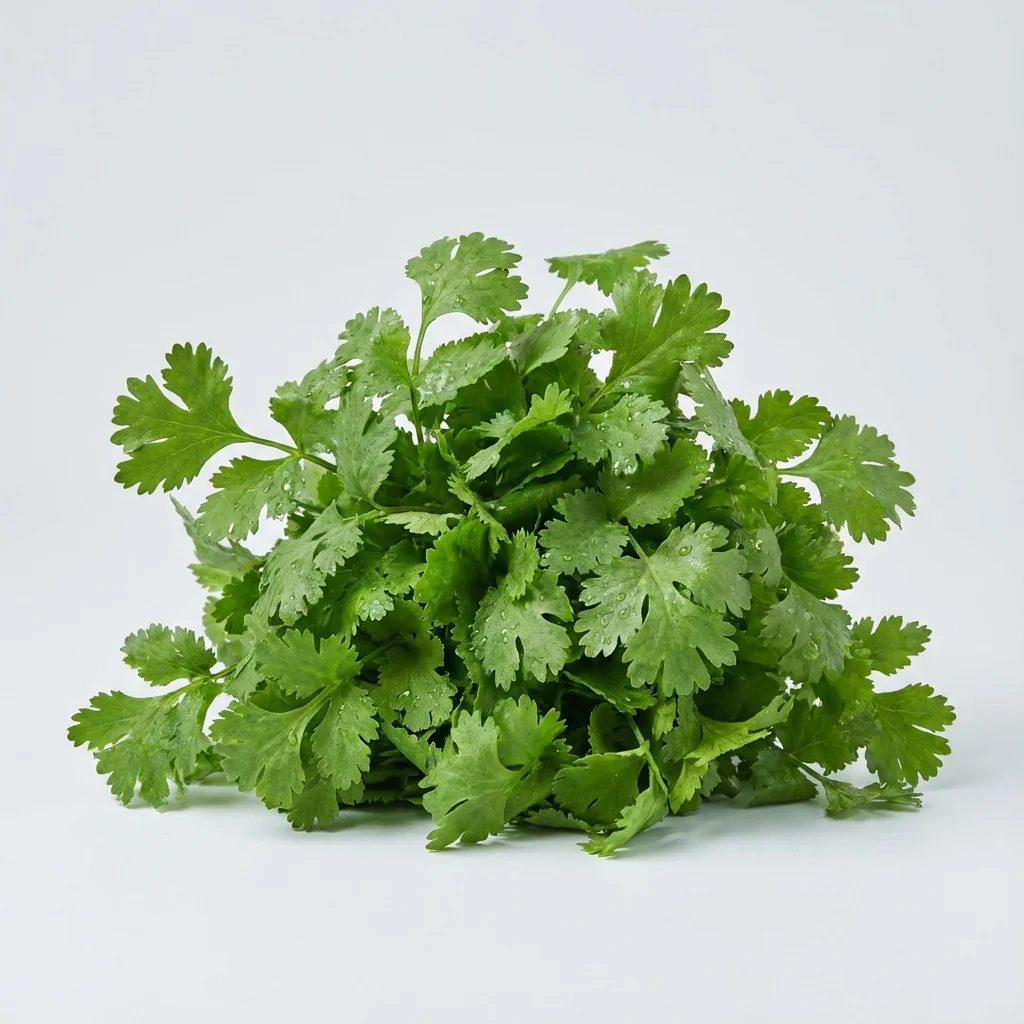 [HIER-0005] Cilantro