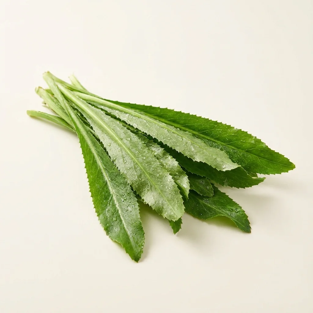 [HIER-0006] Cilantro Cimarron