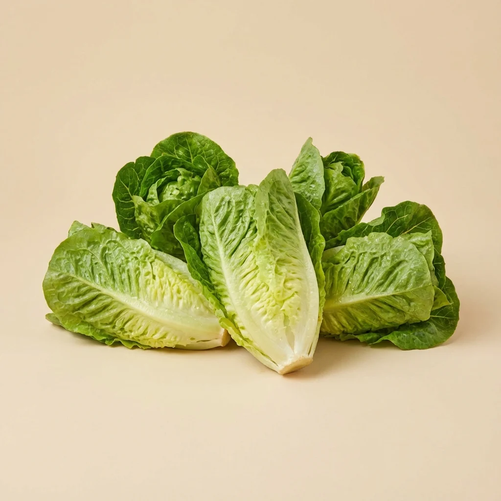 [VERD-0028] Cogollo Europeo