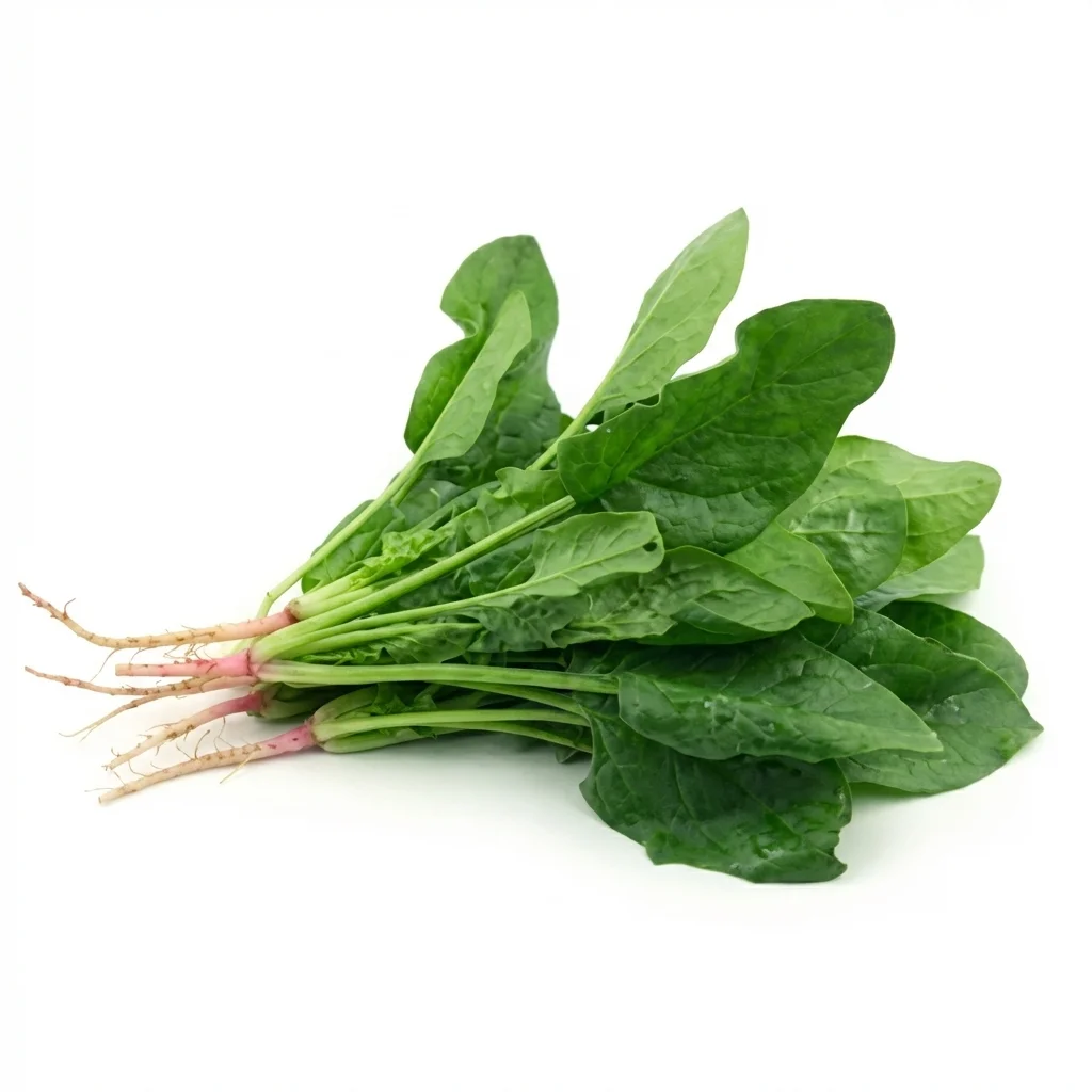 [VERD-0035] Espinaca Criolla