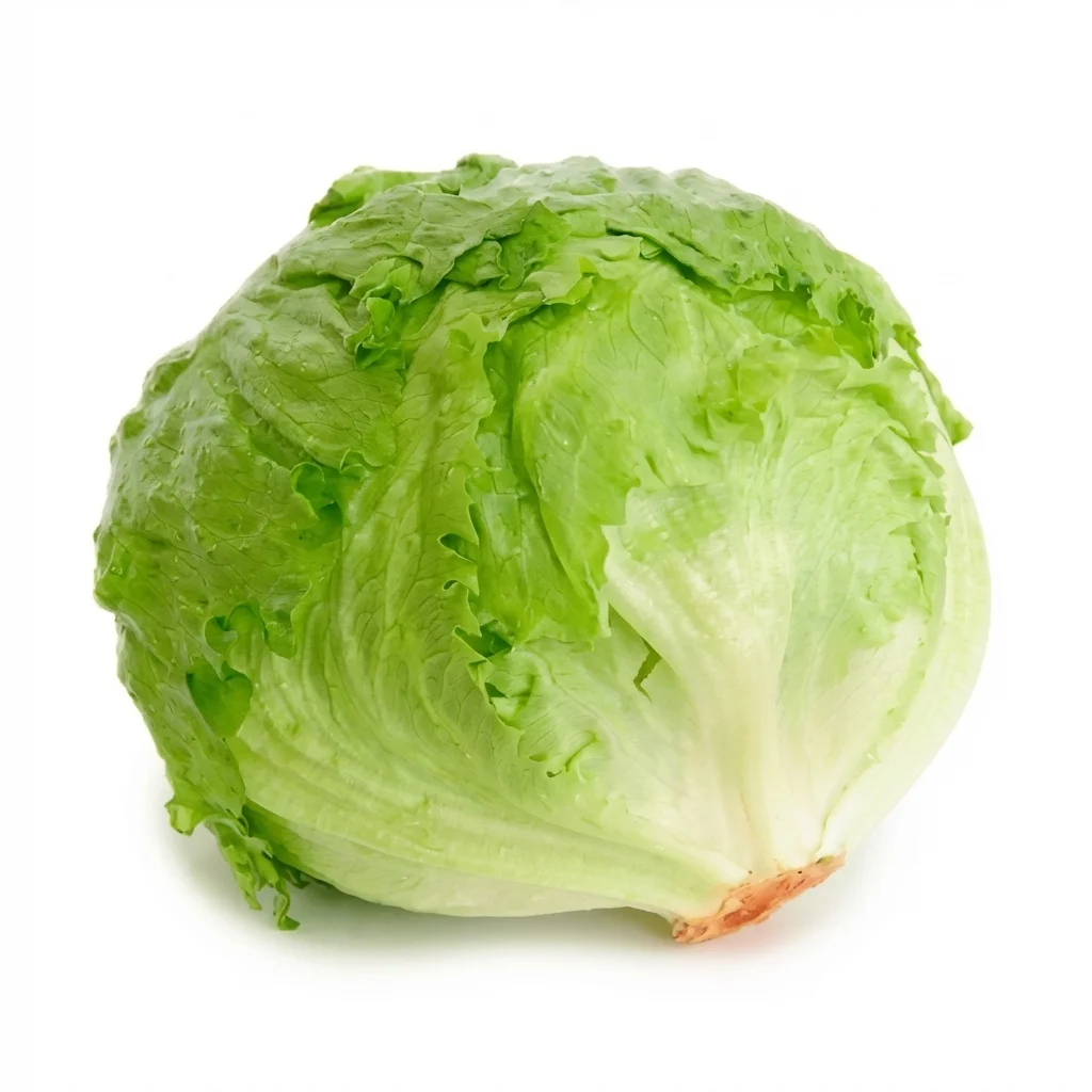 [VERD-0037] Lechuga Batavia