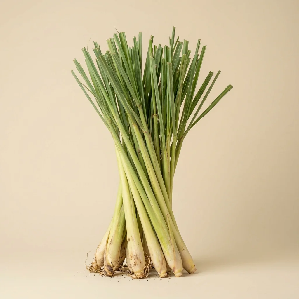 [FRUT-0056] Limonaria