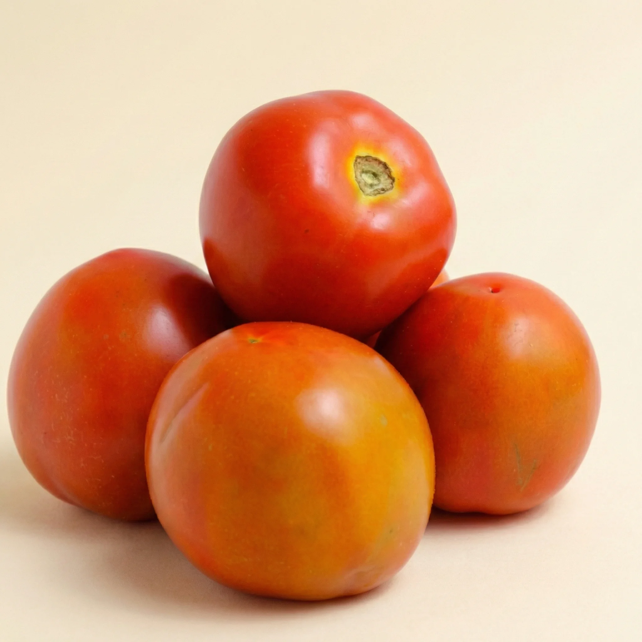 [FRUT-0108] Tomate Chonto